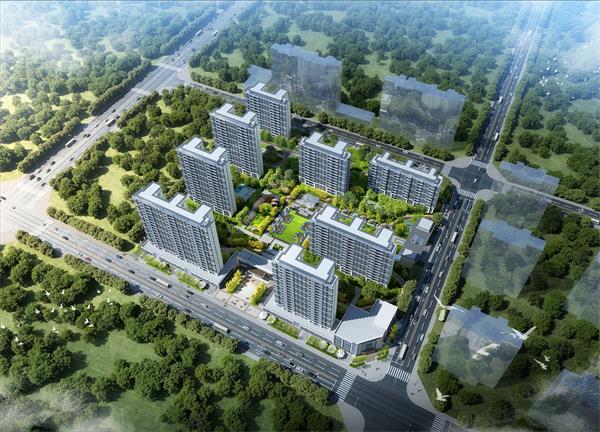 鳥瞰小.jpg